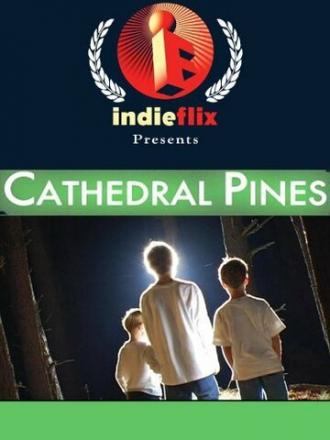 Cathedral Pines (фильм 2006)