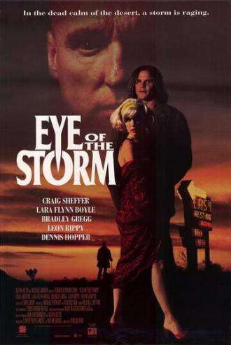 Глаз шторма (фильм 1991)