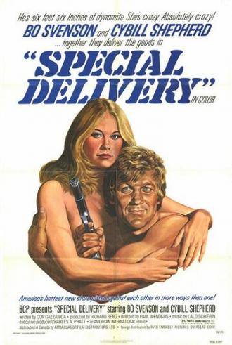 Специальная доставка (фильм 1976)