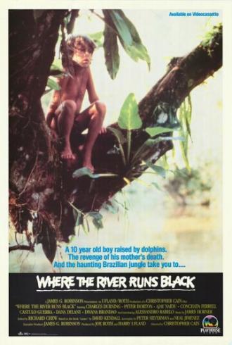 Там, где река становится чёрной (фильм 1986)