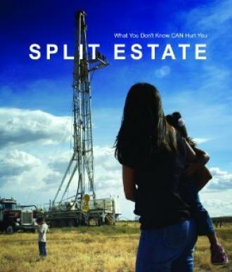 Split Estate (фильм 2009)