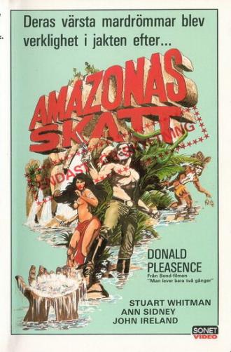 Сокровища Амазонки (фильм 1985)