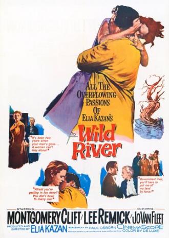 Дикая река (фильм 1960)