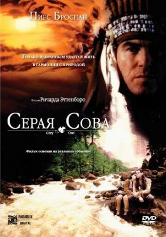 Серая сова (фильм 1998)