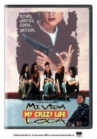 Моя безумная жизнь (фильм 1993)