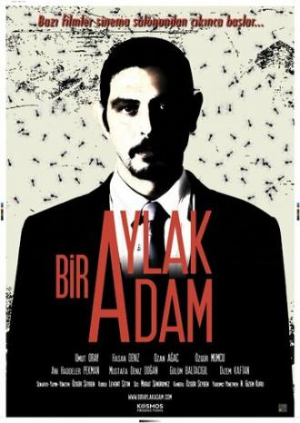 Bir Aylak Adam (фильм 2013)