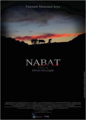 Набат (фильм 2014)