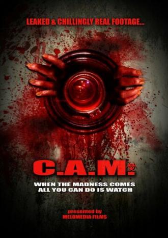 C.A.M. (фильм 2013)