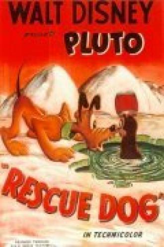 Rescue Dog (фильм 1947)