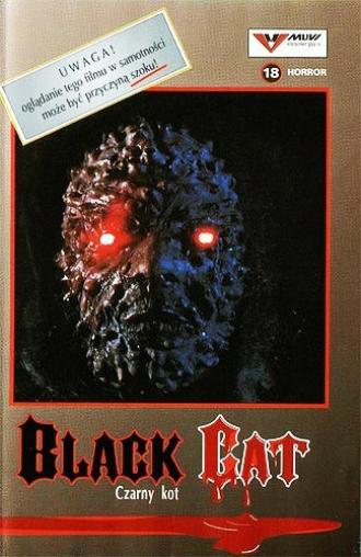 Чёрная кошка (фильм 1990)