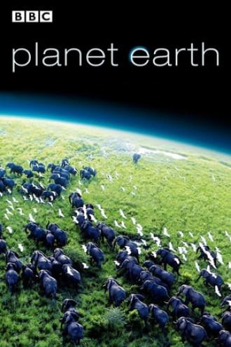 BBC: Планета Земля (сериал 2006)