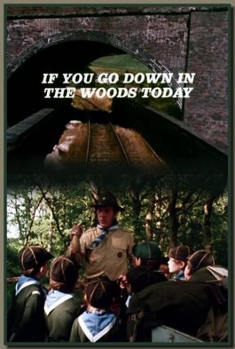 Если ты собрался в лес (фильм 1981)