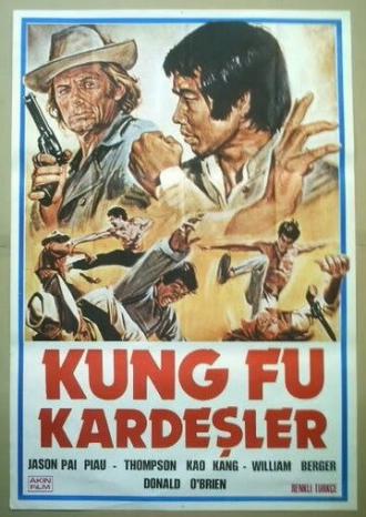 Братья кунг-фу на диком западе (фильм 1973)
