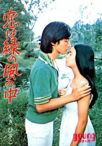 Любовь в зелёной долине (фильм 1974)