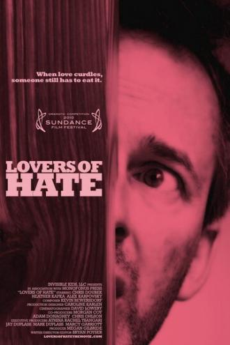 Любовь ненависти (фильм 2010)