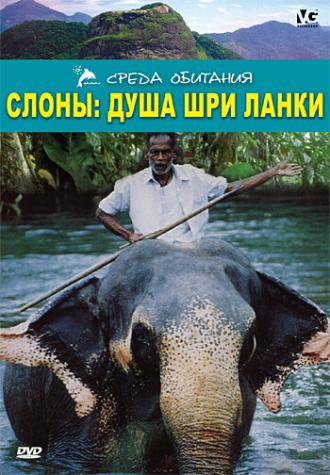 Слоны: Душа Шри-Ланки (фильм 2000)