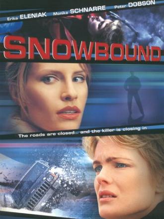 Snowbound (фильм 2001)