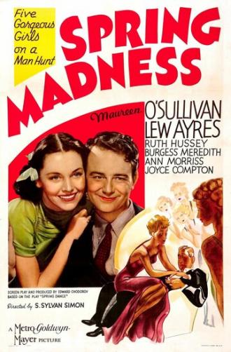 Spring Madness (фильм 1938)