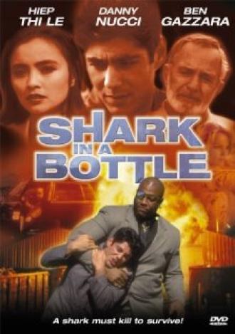 Акула в бутылке (фильм 2000)