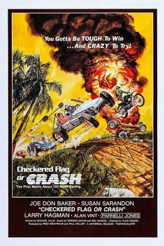 Checkered Flag or Crash (фильм 1977)
