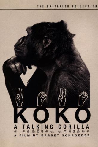 Коко, говорящая горилла (фильм 1978)