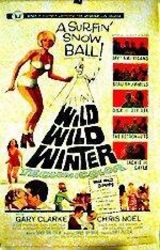 Wild Wild Winter (фильм 1966)