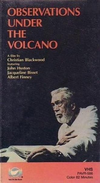 Наблюдения у подножия вулкана (фильм 1984)
