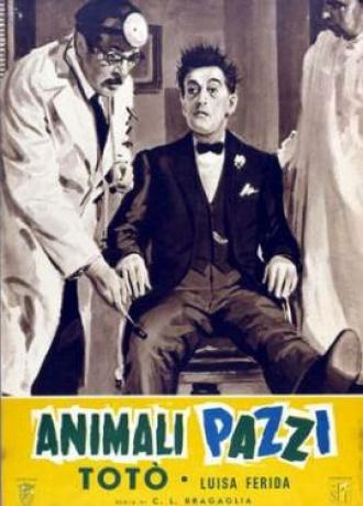 Сумасшедшие животные (фильм 1939)