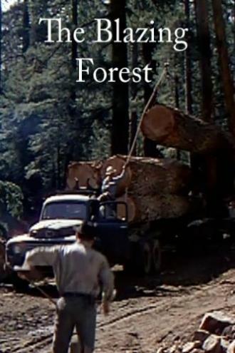 Пылающий лес (фильм 1952)