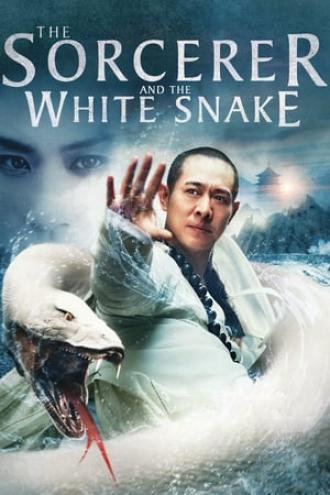 Чародей и Белая змея (фильм 2011)