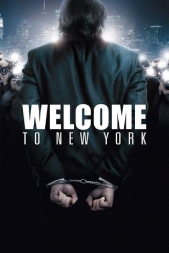 Добро пожаловать в Нью-Йорк (фильм 2014)