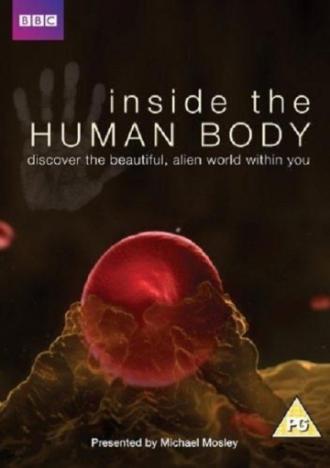 Внутри человеческого тела (сериал 2011)