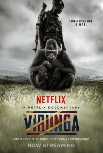 Вирунга (фильм 2014)