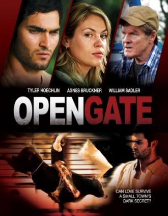 Открытые ворота (фильм 2011)