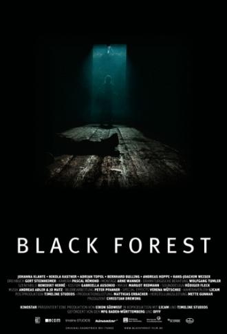 Темный лес (фильм 2010)