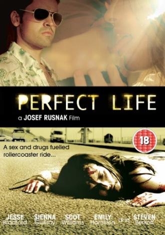 Идеальная жизнь (фильм 2010)