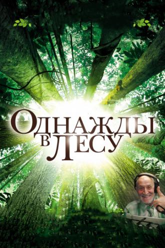 Однажды в лесу (фильм 2013)