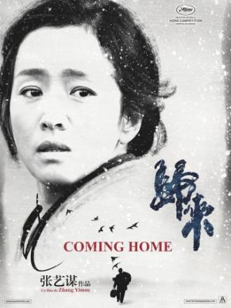 Возвращение домой (фильм 2014)