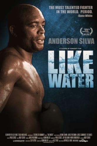Как вода (фильм 2011)