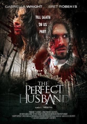 Идеальный муж (фильм 2014)