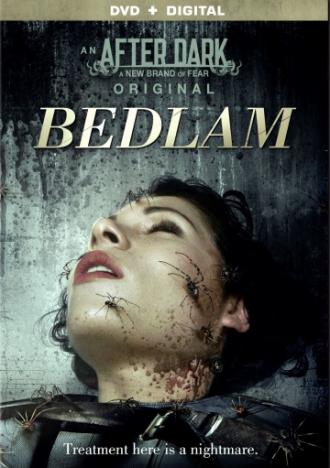 Психбольница Бедлам (фильм 2015)