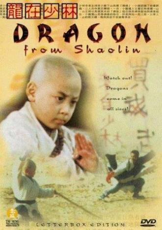 Long zai Shaolin (фильм 1996)