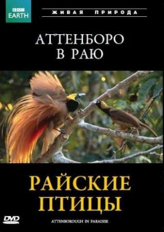 BBC: Райские птицы (фильм 1996)