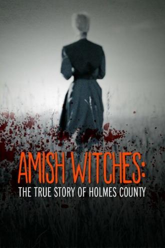 Амишские ведьмы: Правдивая история округа Холмс (фильм 2016)