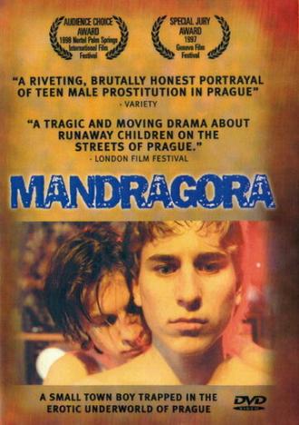 Мандрагора (фильм 1997)