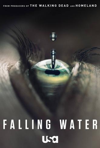 Падающая вода  (фильм 2016)