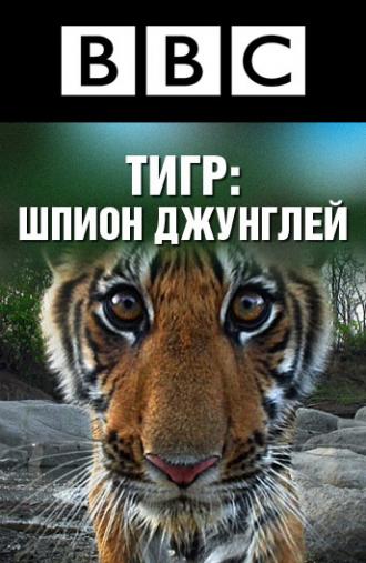 BBC: Тигр – Шпион джунглей  (фильм 2008)