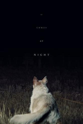 Оно приходит ночью (фильм 2017)