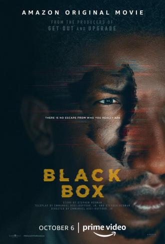 Чёрный ящик (фильм 2020)