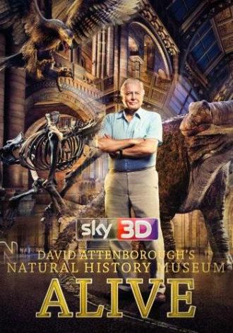 Музей естественной истории с Дэвидом Аттенборо (фильм 2014)